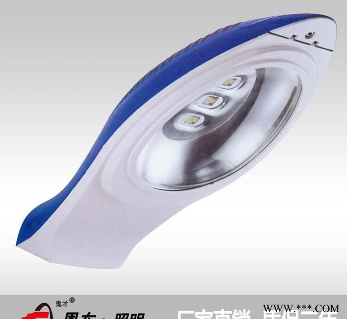 恩东照明 LED路灯 美人鱼 户外灯道路灯 公路照明 180图2