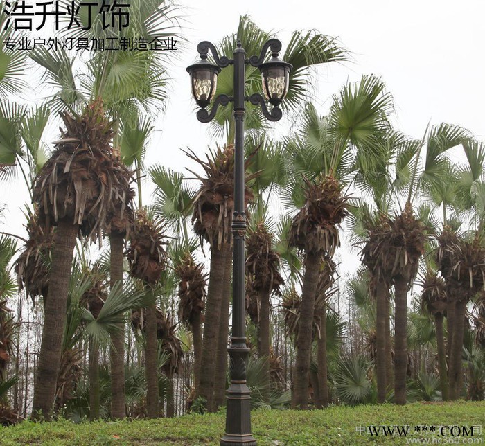 3.3米庭院路灯道路灯景观灯欧美式别墅花园公园照明铝质压铸翻砂图1