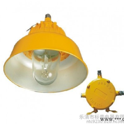 防爆灯具     BLC8600防爆道路灯