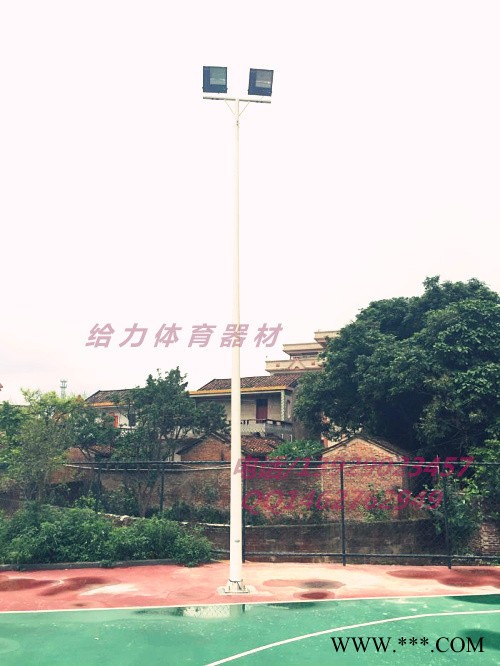 广西道路灯杆厂家 南宁篮球场双向灯杆可订做图2