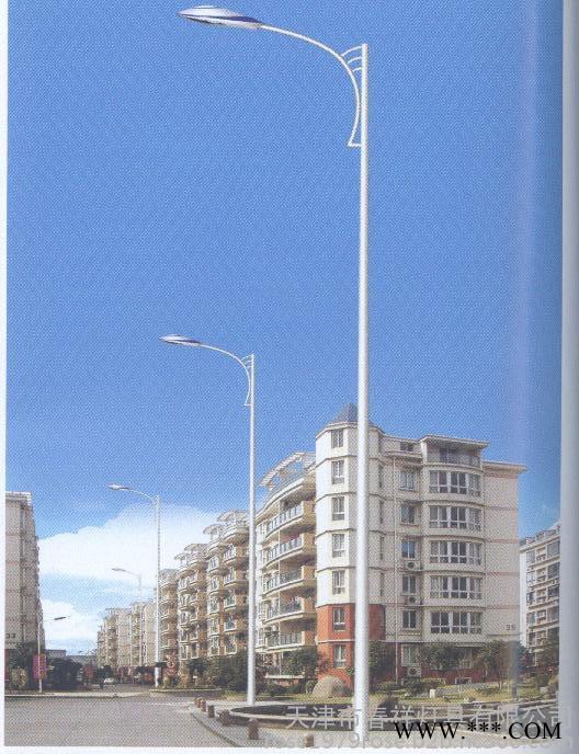 春祥灯具批发生产道路灯杆，信号杆，卡口杆，弯臂杆**系统安防杆6米道路照明灯图6