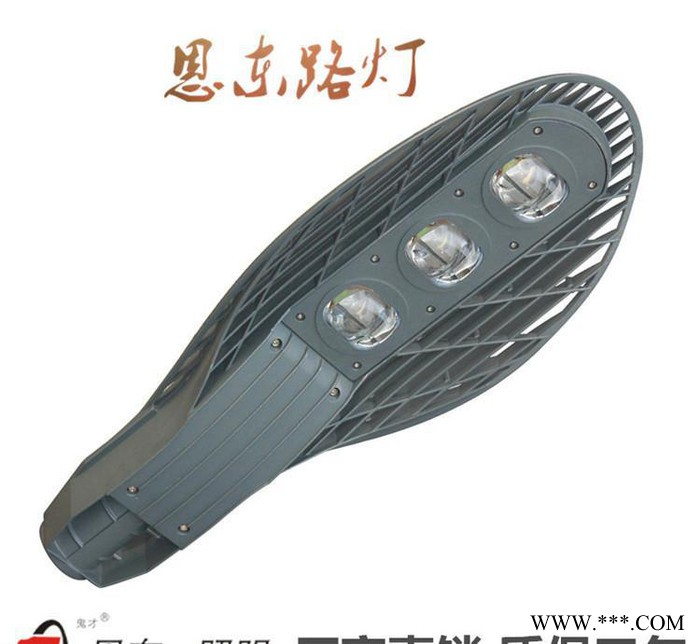 恩东照明 LED路灯 户外灯道路灯 高杆灯 网拍100W 1图1