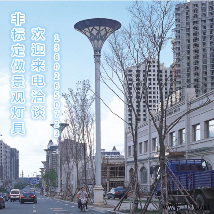 供应**景观灯 LED户外草坪灯具 广场灯图2