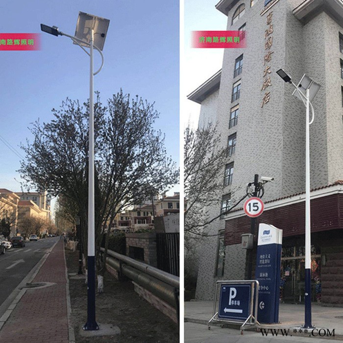 惠民景观灯生产批发 单县景观灯报价表图3