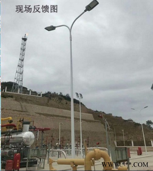 防爆道路灯BZD129油站电厂免维护厂区泛光照明灯图2