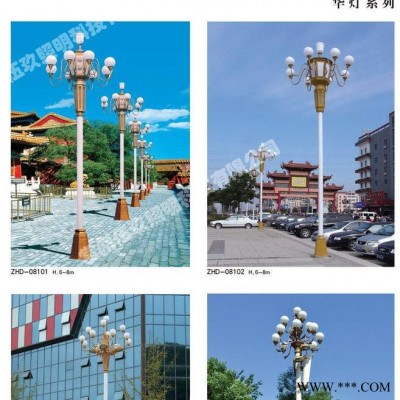 常州FNZH/伍玖照明FNZH中华灯 专业中华灯 道路照明 城市亮化 路灯 太阳能路灯 园林景观灯 道路照明灯具