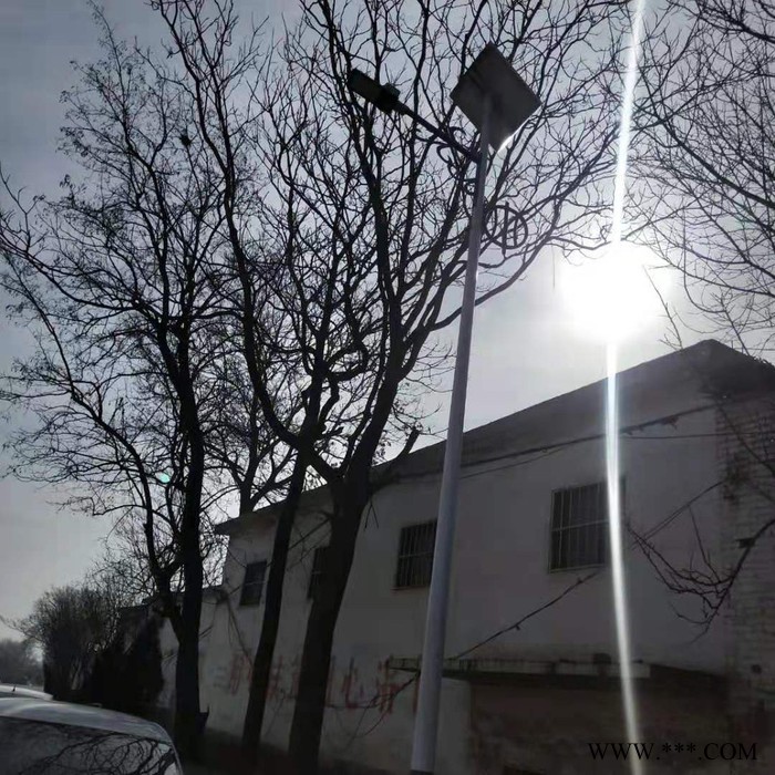 LED照明路灯 景观灯报价 3米庭院灯 LED路灯图4