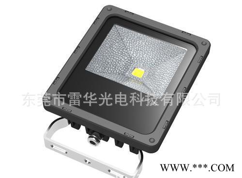 10W投光灯 LED投光灯 泛光灯 广告灯 道路灯 直销图2