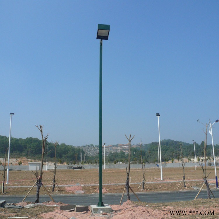 来宾市厂家**6米户外路灯杆 河池市LED道路灯高杆灯现货供应图1