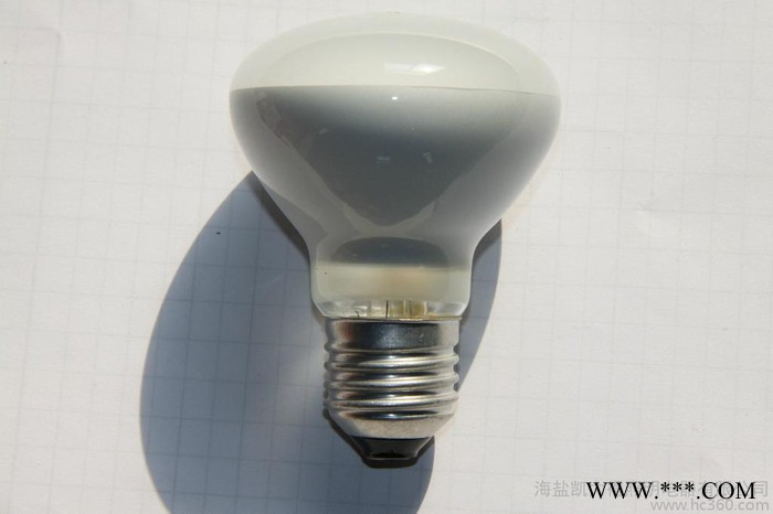 ** R63反射灯泡 浴霸照明 LED反射灯泡图2