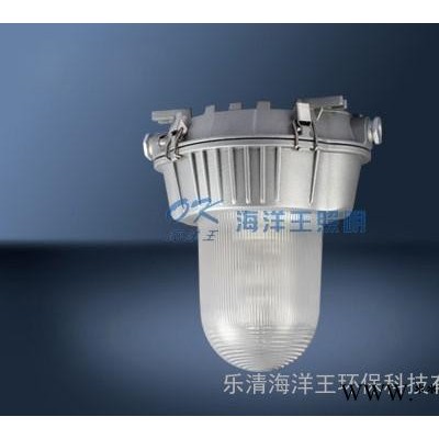 矿灯 海洋王NFC9180 海洋王道路灯 海洋王防爆灯 NFC9180