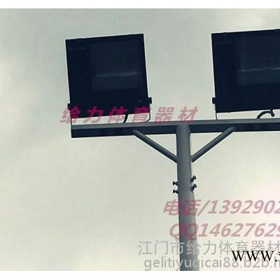 浙江道路灯杆厂家（全镀锌管） 篮球场专用灯杆批发