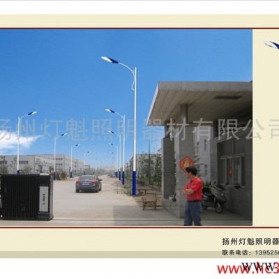 巾帼 供应定做景观灯、庭院灯灯杆、小区灯杆