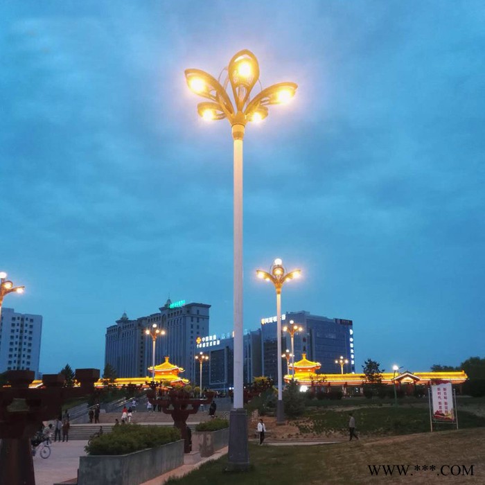 AE照明 景观灯中华灯玉兰灯玉兰灯 厂家定制八叉九火玉兰灯 led玉兰灯 玉兰景观灯图3