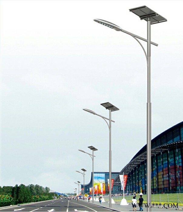 大功率LED太阳能路灯价格表 新农村专用6米太阳能感应灯道路灯LDTYN-0036图7
