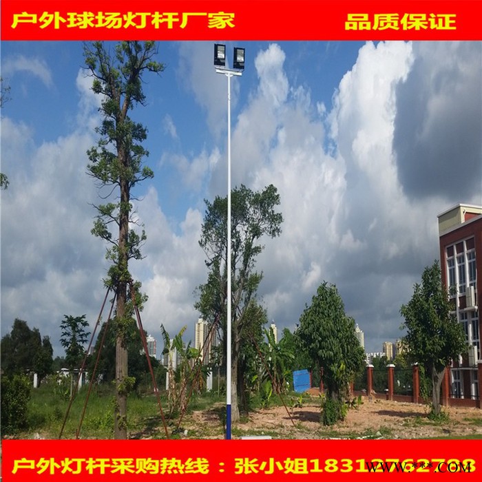 **内外热镀锌双向A字臂道路灯杆，超高亮度LED照明灯图3