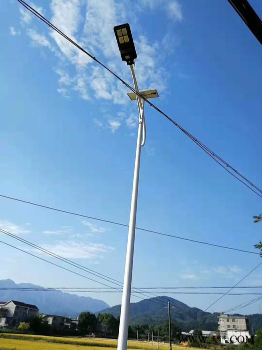 AE照明AE-TG-02户外太阳能路灯 太阳能灯 景观灯,防水景观灯,图5