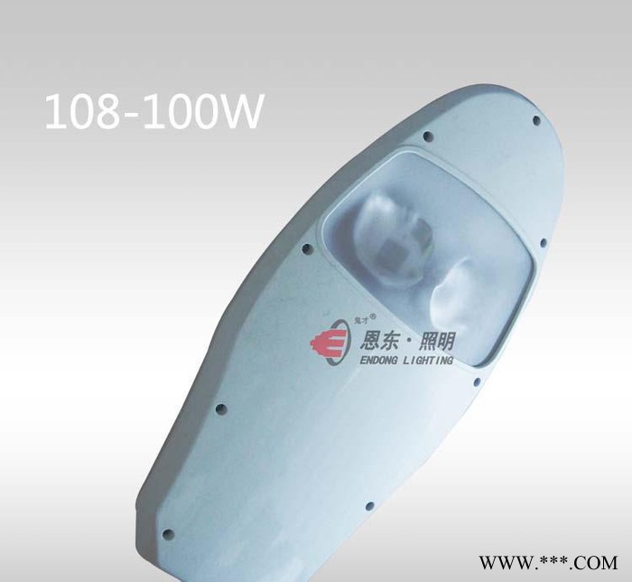 恩东照明 LED路灯 户外灯道路灯 公路照明 100W 16图2