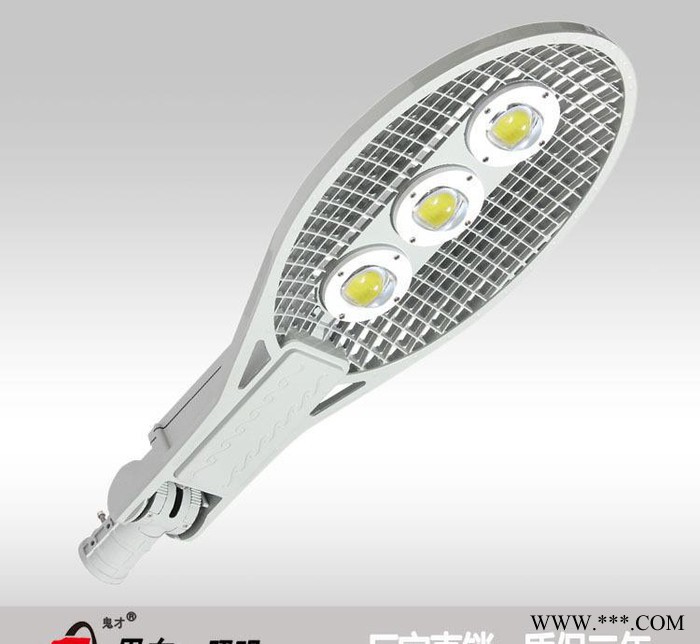 恩东照明 LED路灯 户外灯道路灯 网拍集成80W 120W图2