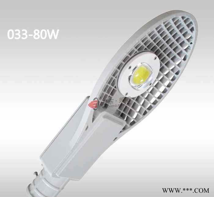 恩东照明 LED路灯 户外灯道路灯 网拍集成80W 120W图1