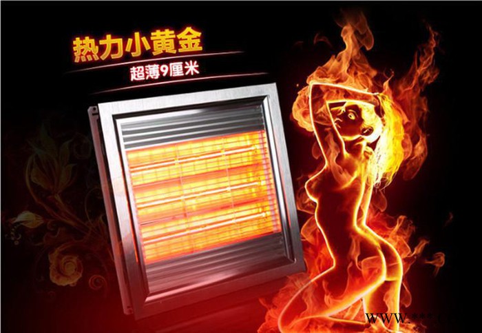 欧派集成吊顶浴霸 30X30超薄护眼双管黄金管浴霸 特价图2