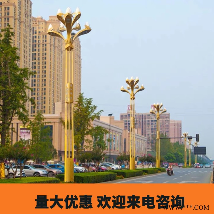 YH-005 景观灯8米中华灯户外LED大功率庭院中华灯