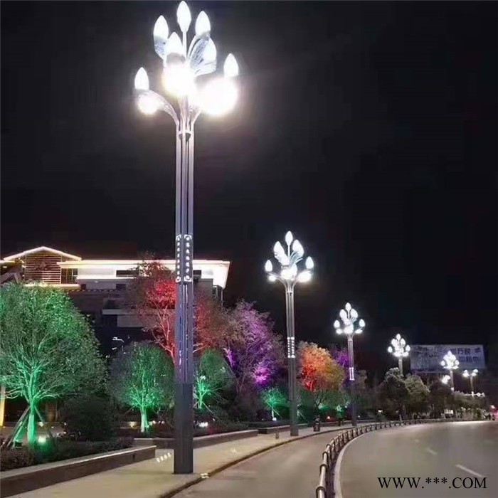 大照 玉兰灯 中华灯 莲花灯 大型景观灯 路灯 厂家定制图6