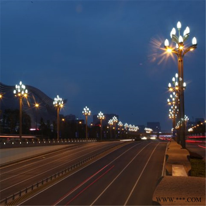 大照 玉兰灯 中华灯 莲花灯 大型景观灯 路灯 厂家定制图3
