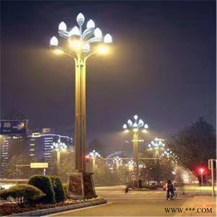 大照 玉兰灯 中华灯 莲花灯 大型景观灯 路灯 厂家定制图8