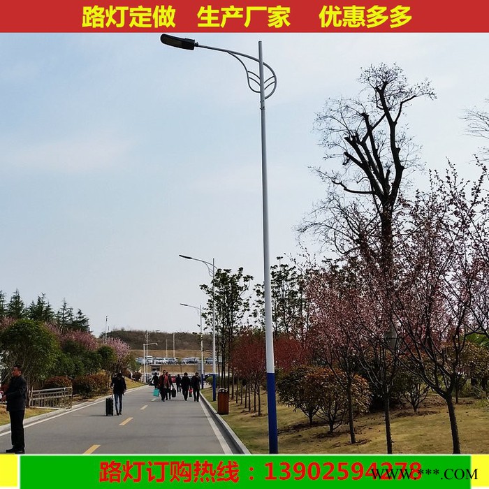 厂家批发户外道路灯，高速公路投光LED路灯，新农村太阳路灯,金卤灯质量保证图2