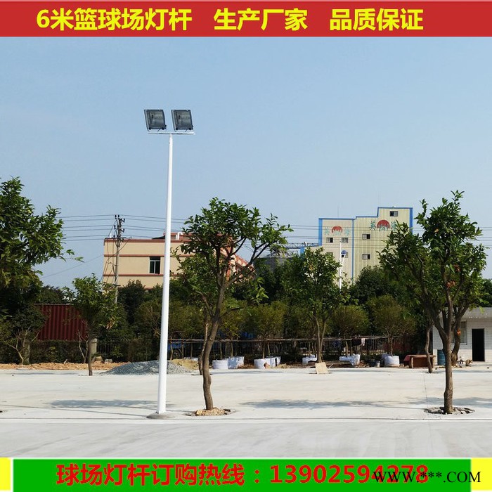 **锥形一拖一球场灯，户外道路灯 篮球场高杆灯批发图2