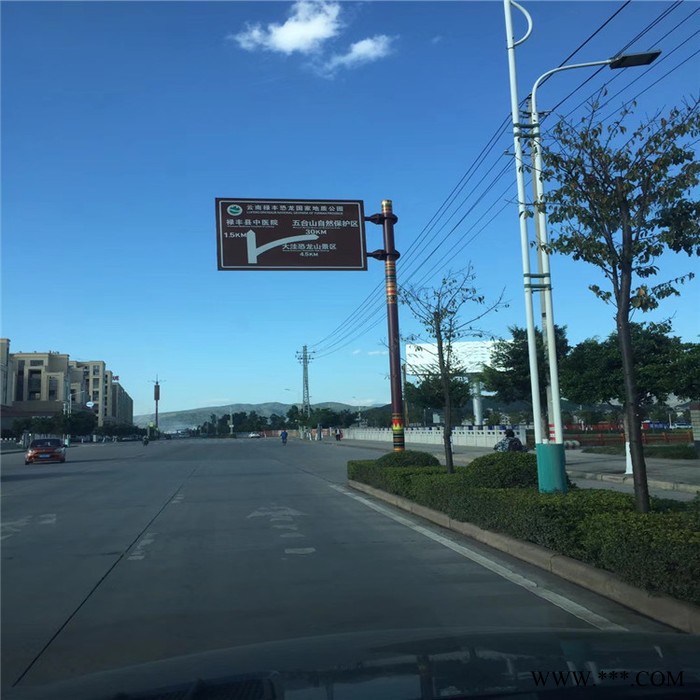 大理弥渡大型景观灯  弱电监控立杆_现货批发图8