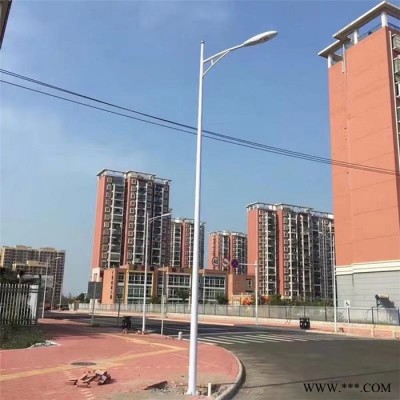 大理弥渡大型景观灯  弱电监控立杆_现货批发
