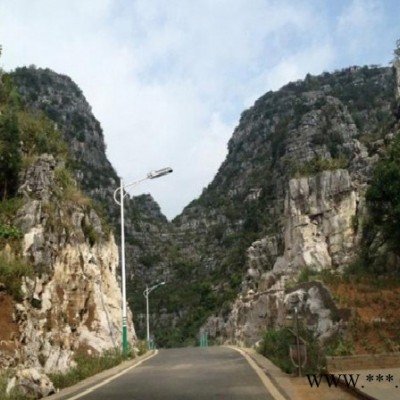 沧州福光led路灯小金豆30WFGCXLD道路灯新农村建设无频闪高效节能led路灯质量监控