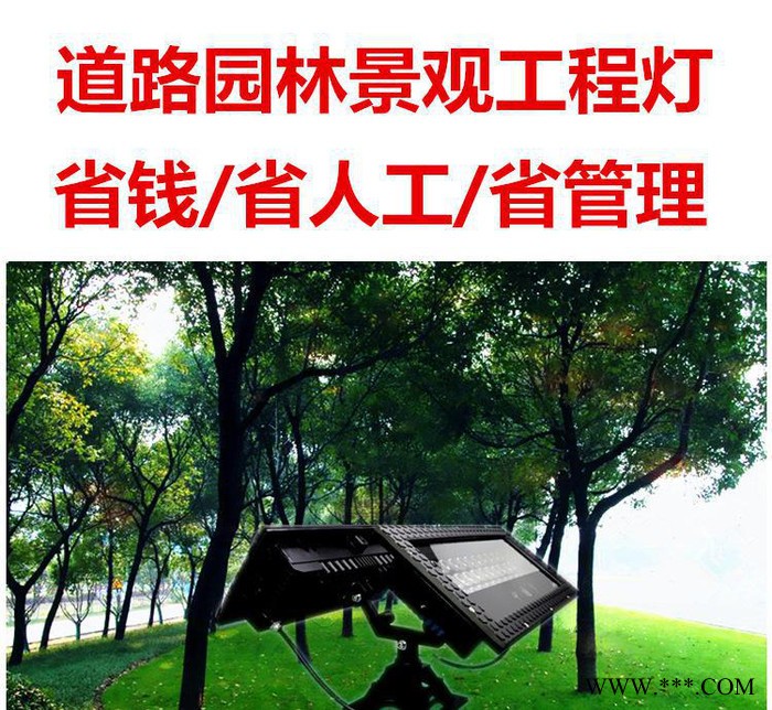 中山园林绿化景观庭院照明灯具黑色公园花园小区道路灯特价图1