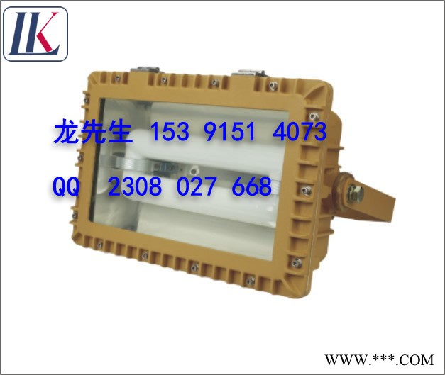 供应 雷科LK-SBD1120（SBD1109)免维护节能防爆道路灯