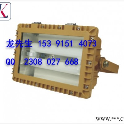 供应 雷科LK-SBD1120（SBD1109)免维护节能防爆道路灯