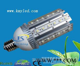 供应凯明ED模组路灯、景观灯 LED路灯、景观灯供应厂家图2