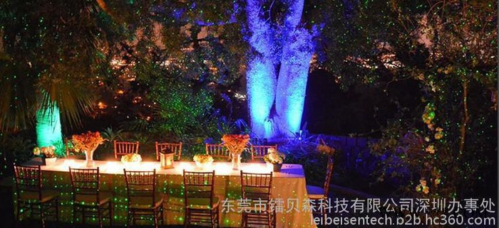 镭贝森高品质镭贝森激光草坪灯 RGB 园林激光灯 照明景观装饰美化灯景观灯图6