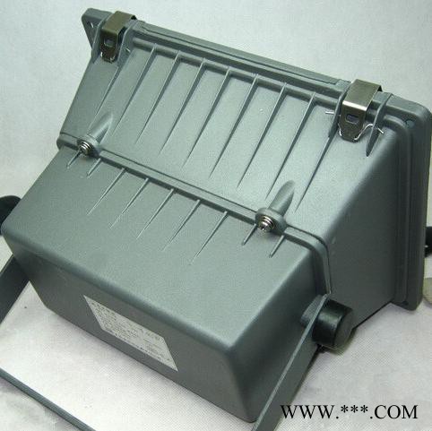 上海亚明ZY73-150W、HID泛光灯具 景观灯,草坪灯,探照灯 上海景观灯图4
