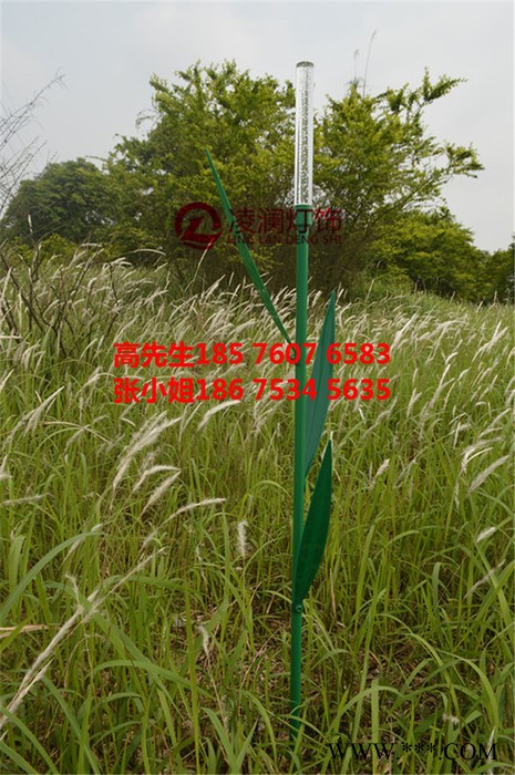 凌澜lw07 高度80cm麦穗灯 麦穗灯是采用 LED技术制作而成景观灯图5