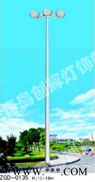 Philips/飞利浦标准景观灯图7