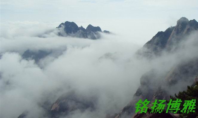 CX LED景观灯图4