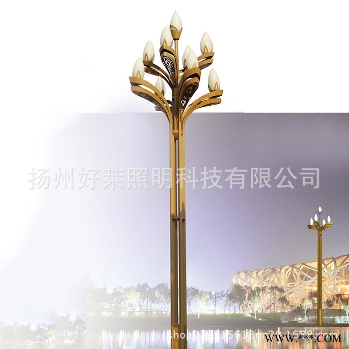定制 直销 玉兰灯中华灯 广场圆轮道路灯照明 公园景观灯图3