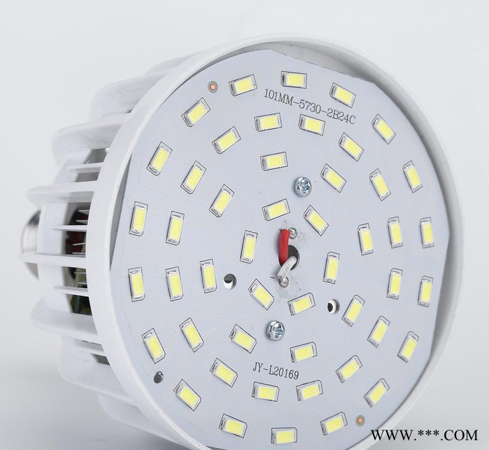 LED灯泡大功率e27螺口鸟笼泡36W家用球泡灯节能灯图3