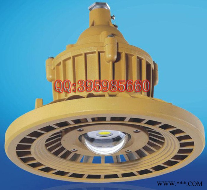 LED防爆免维护节能灯高光效寿命长免维护节能灯IP66防腐灯图1