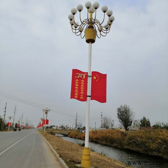 厂家批发防水太阳能路灯  景观灯 太阳能灯图2