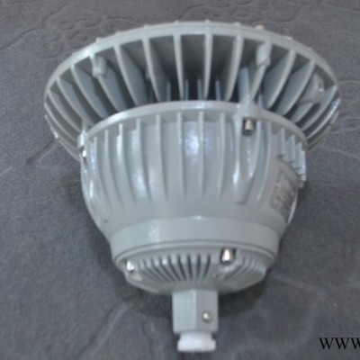 防水防尘腐灯 免维护LED防爆灯 led防爆节能灯 led防爆照明灯 仓库led防爆灯