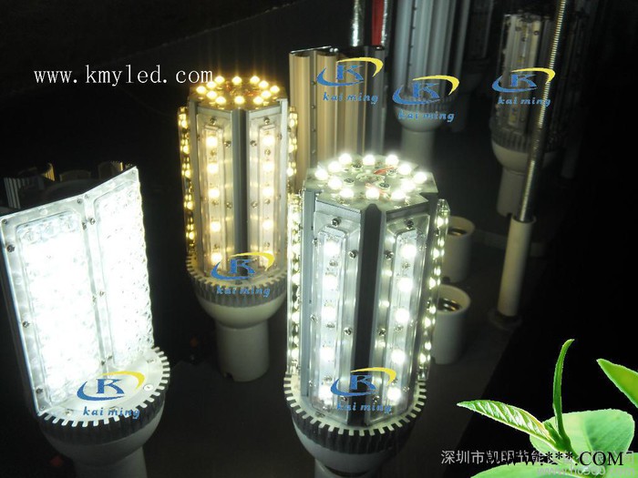供应凯明景观灯 LED景观灯、玉米灯图3