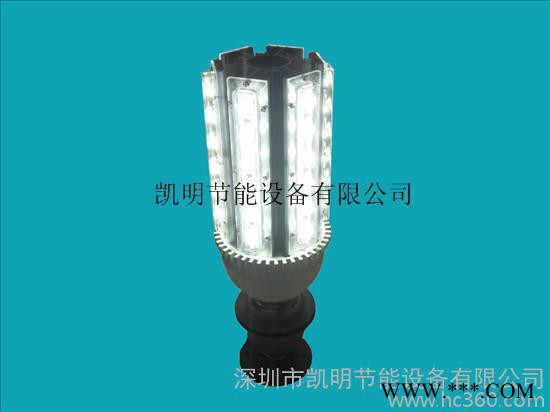 供应凯明景观灯 LED景观灯、玉米灯图2